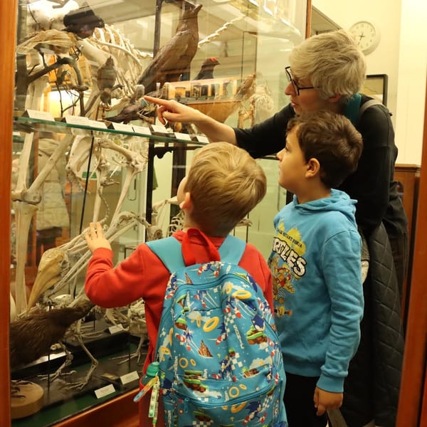Alfred Denny Museum