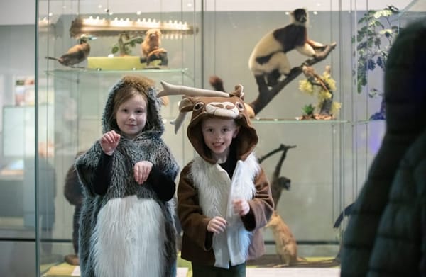 Weston Park Museum