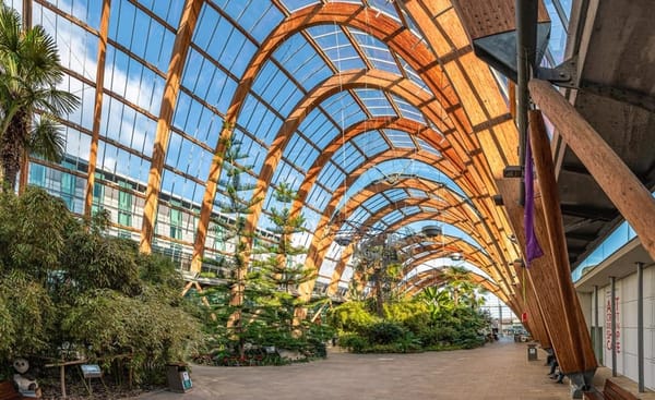 Sheffield Winter Garden
