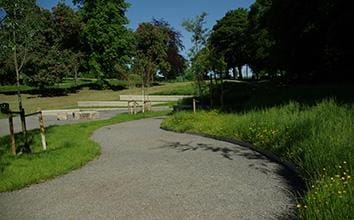 Firth Park